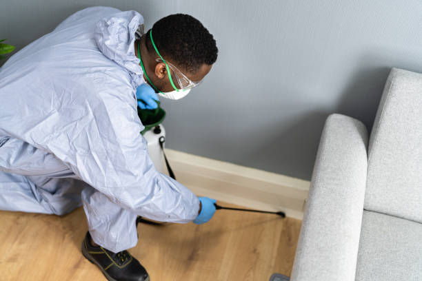 Best Residential Pest Control  in Greenwich, OH